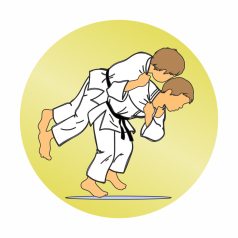 Érembetét - Judo 25mm akril - arany
