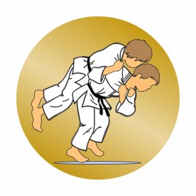 Érembetét - Judo 25mm akril - bronz