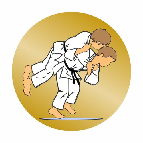 Érembetét - Judo 25mm matrica - bronz