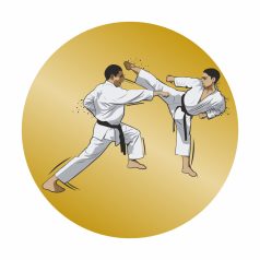 Érembetét - Karate 25mm matrica - bronz