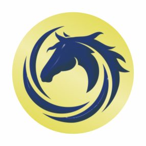 Érembetét - Lovaglás 25mm matrica - arany