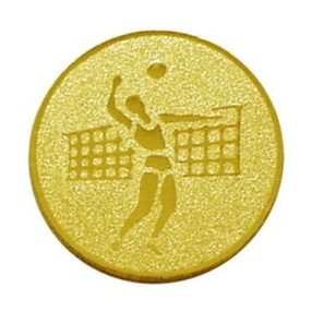 Érembetét - RÖPLABDA 25mm       019 