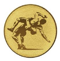 Érembetét - BIRKÓZÁS 25mm arany      080 