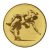 Érembetét - BIRKÓZÁS 25mm arany      080 