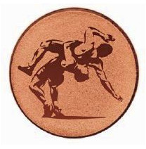 Érembetét - BIRKÓZÁS 25mm bronz      080 