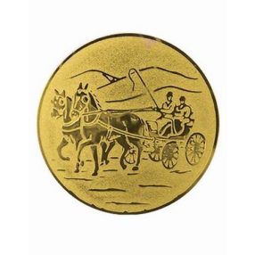 Érembetét - FOGATHAJTÁS 25mm    178 